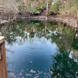 There's a small spring at the park