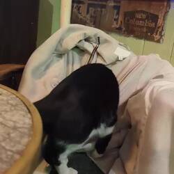 Pub 2 - Weggegangen Platz vergangen