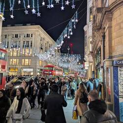 Das eigentliche Ziel der Reise, die Christmas Lights