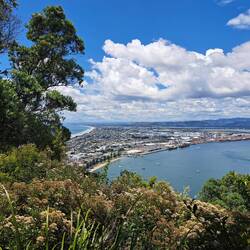 Aussicht runter zu nach Mt. Maunganui