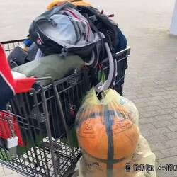 Der Einkaufswagen