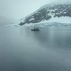 Penguins following the boat!