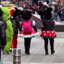 Mickey & Minnie Strolling