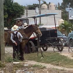 There are definitely Mennonites in town.