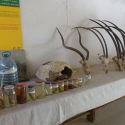 Ein kleines Museum gibt's auch