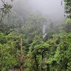El Tigre Waterfalls