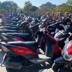 Hier den eigenen Roller wiederfinden