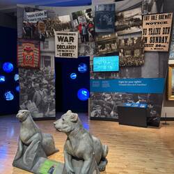 Museum of Cardiff