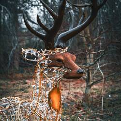 It's beginning to look a lot like Christmas