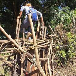 So geht's über die Zäune