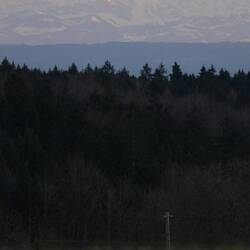 Letzte Blicke auf die Alpen