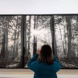 ...Überdimensionierte Kohlezeichnungen.