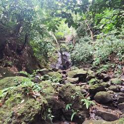 Siehst du den Wasserfall!?👀