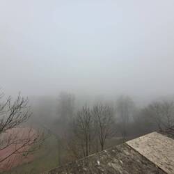 Besser wird der Ausblick wohl nicht...