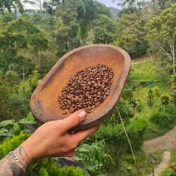 Beans after being skinned and toasted