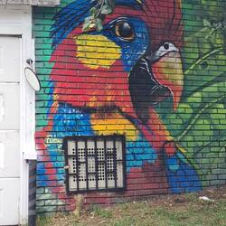 Lots of this everywhere