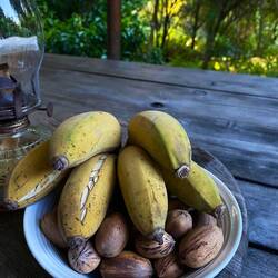 Alles aus dem eigenem Anbau. Sooo lecker!