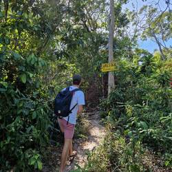 ... denn döre Dschungel, ...