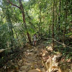 ...weder zrogg i Dschungel, bes...