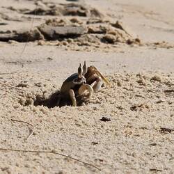 ... zom Sunset Beach ond de Chräbs :)