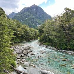 Routeburn Nature Walk