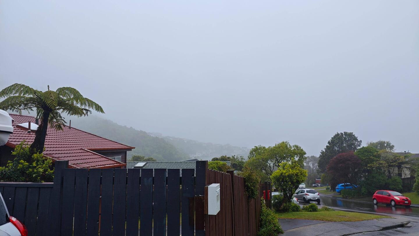 Trübe Aussicht... 🌧️