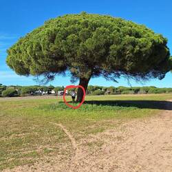 Dann auf offene Wiesen.