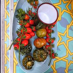 Wat een prachtige schaal met tomaten