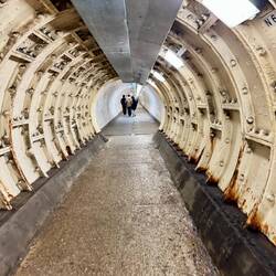 Il tunnel degli orrori 🧟‍♂️