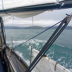 The calm of Port Underwood