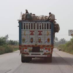 Ziegentransport