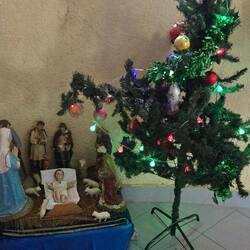 Mit Krippe und Weihnachtsbaum...