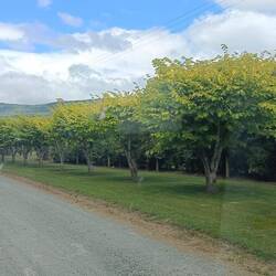 L'entrée du camping