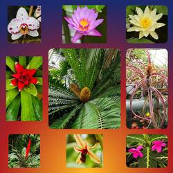 Wellington Botanic Garden