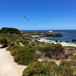 Ricey Beach