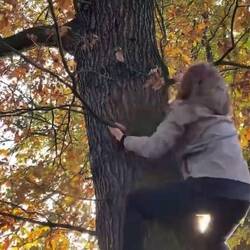 Bäume können auch ein Abendteuer sein