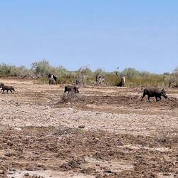 eine Familie mit Jungen