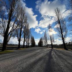 Looking back down the main camp avenue from the other end of the camp