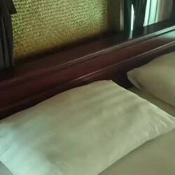 I don't even want to know which animals are lurking under our bed