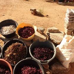 Zahlreiche Stände am Straßenrand verkaufen wie dieser hier die lokalen Produkte