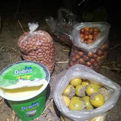 Dazu gehören Erdnüsse, und Früchte, die ich noch nie gesehen habe, das Milchprodukt ist aus Touba