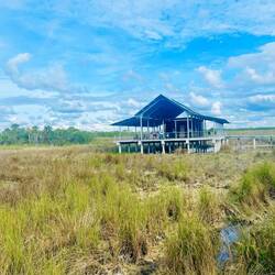 Irgendwo in den Everglades