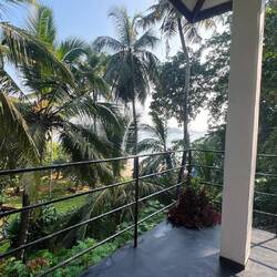 Blick von unserer Terrasse aus