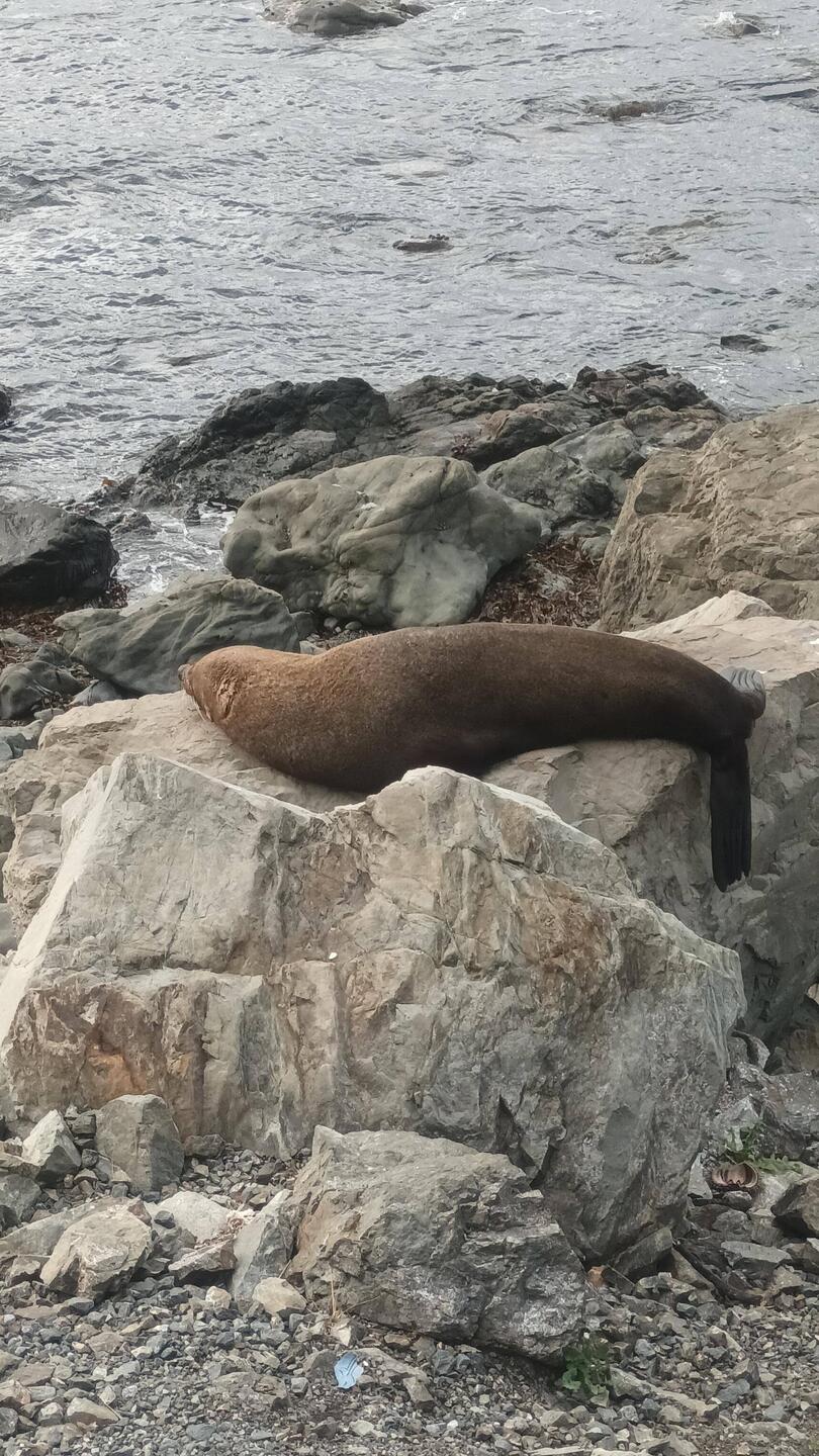 tiefenentspannt direkt an der Straße