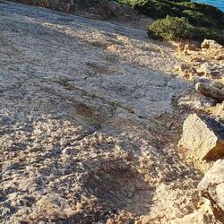 Weiter weg, waren die Spuren besser zu sehen