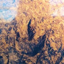 Leider waren die Fußabdrücke nicht so gut mehr zu sehen