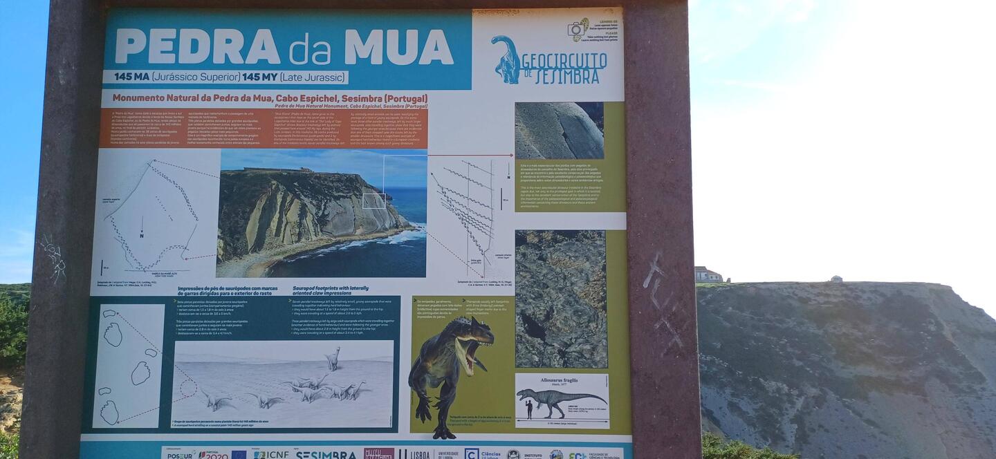Auf der suche nach Dinospuren