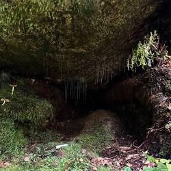 Glow worms (little preview for tomorrow)