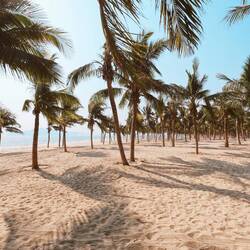 menschenleerer Strand in Ha Long