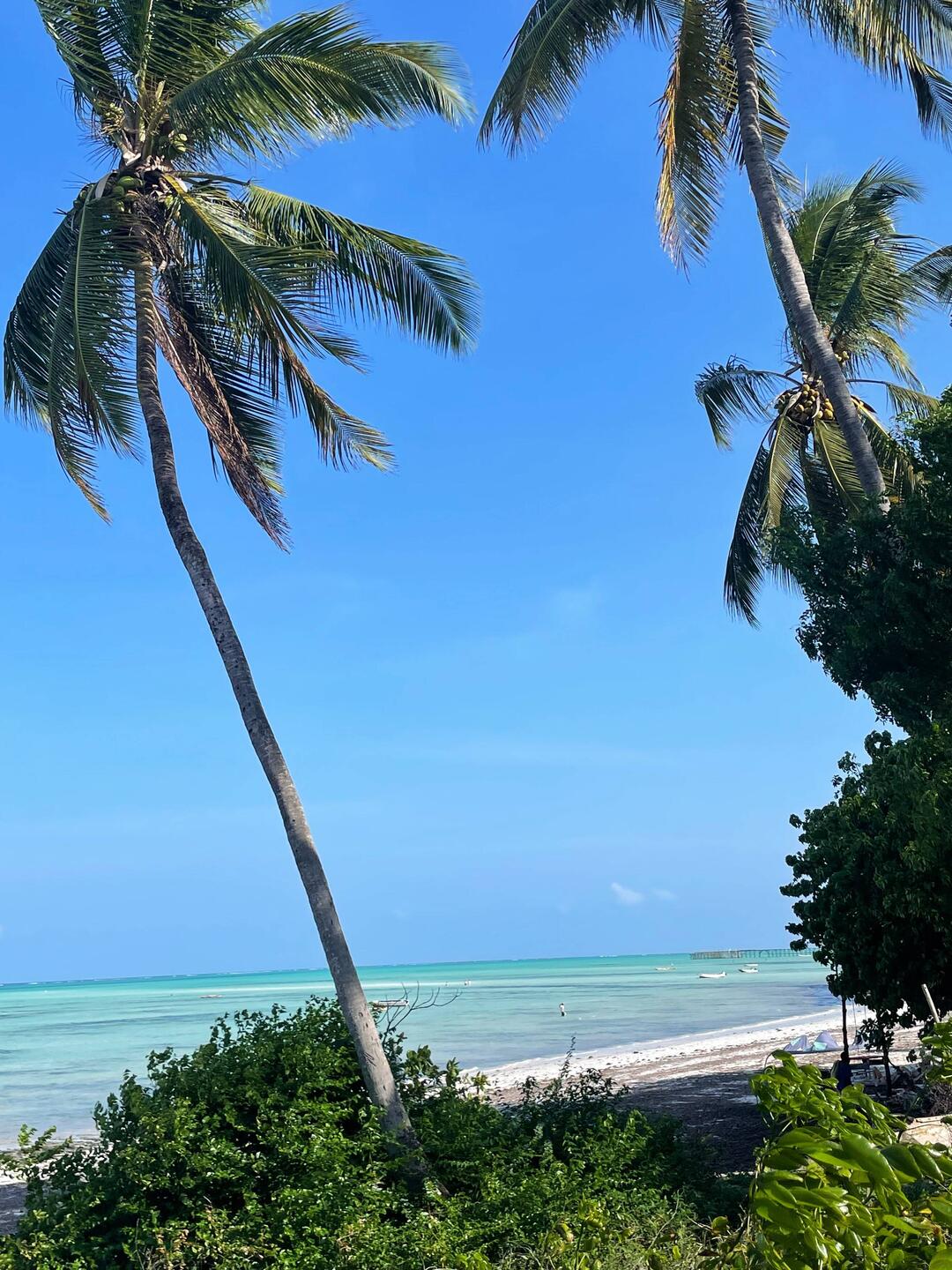 Strand bei Jambiani